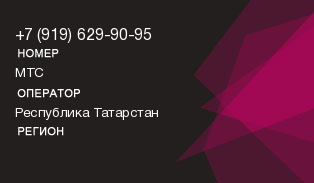 9196299095